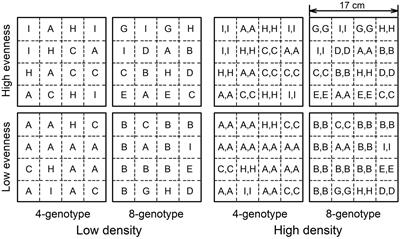 Density Alters Impacts of Genotypic Evenness on Productivity in an Experimental Plant Population